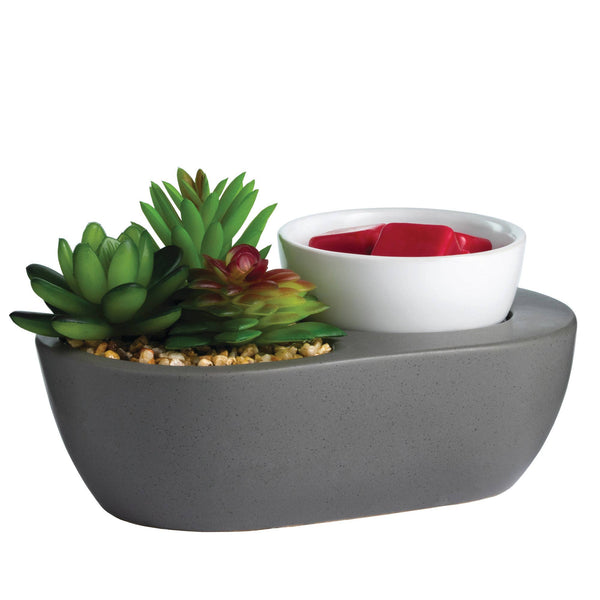 2-in-1 Fragrance Warmers - Succulent